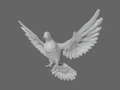 White dove 3D model