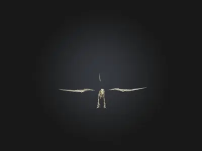 Realistic Pteranodon Skeleton Model Low-poly 3D model