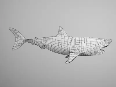 Great White Shark Low-poly 3D model 2