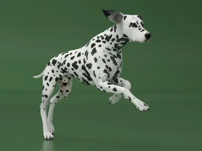Running Spotted Dalmatian Dog 3D model