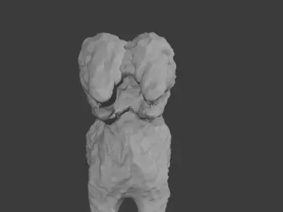 Two Face Dog 3D model