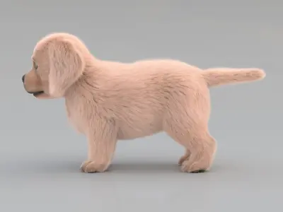 Dog Puppy Golden Retriever FUR ANIMATED 3D model
