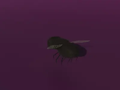 A rigged fly Low-poly 3D model