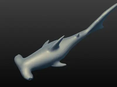 hammerhead shark 3D model buy