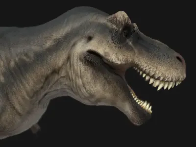 Tyrannosauru rex Low-poly 3D model