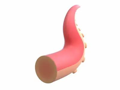 Octopus Tentacle 3D model