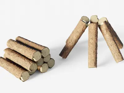 Scanned coniferous firewood  Low-poly 3D model