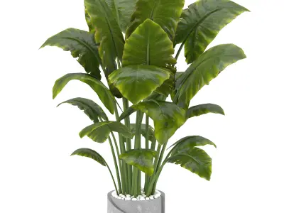 Indoor Plants in Ferm Living Bau Pot Large - Set02 3D model