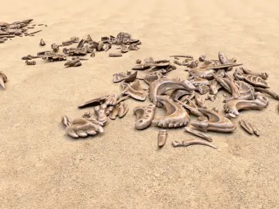 Fossil Bones and Skulls - Collection Low-poly 3D model