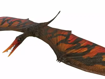 Rhamphorhynchus Low-poly 3D model