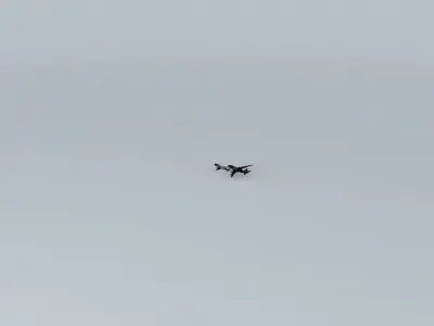 United Airlines Flight 288 and CargoLux Flight 9330F  Free 3D model