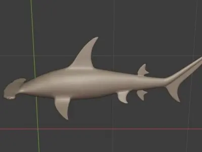 Hammerhead Shark 3D model purchase