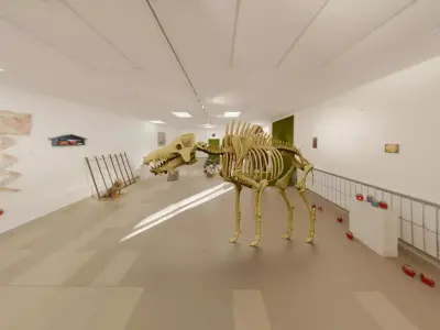 Realistic Mammals Fossil - Entelodont Low-poly 3D model
