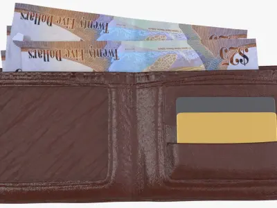 Cayman Islands British 25 Dollar Wallet Money Purse 3D model