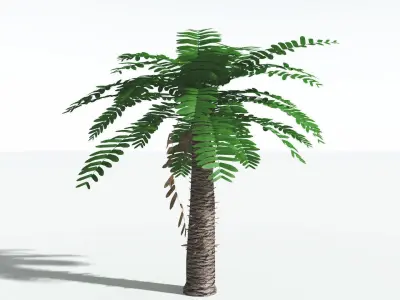 EVERYPlant Pseudoctnis Cycad LowPoly 1 --12 Models-- Low-poly 3D model