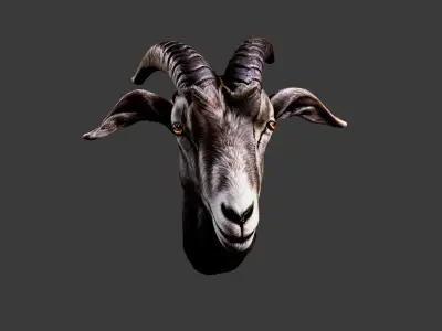 Deer Animal Head Low-poly 3D model 4
