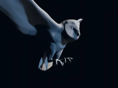 Barn Owl Free 3D model