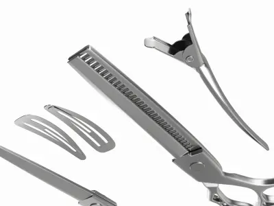Hair Cutting Thinning Scissors Set Steel 3D model