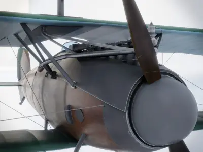 Albatros DV 3D model get