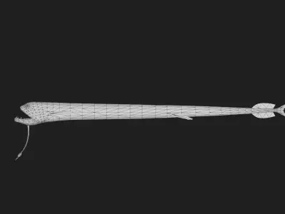 Dragonfish Low-poly 3D model