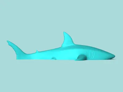 Great White Shark - Wall Decor - Decoration 3D print model