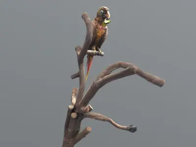 A BLOOM IN THE BEAK -A PROMISE ON THE BRANCH Low-poly 3D model