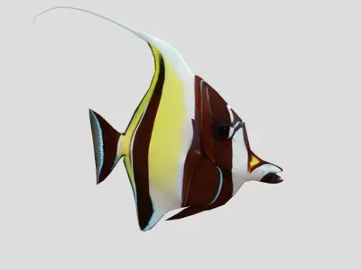 Moorish Idol Realistic Animated Low-poly 3D model