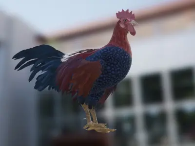 Rooster  Low-poly 3D model