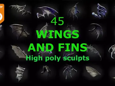 45 WINGS AND FINS high poly sculpts 3D model