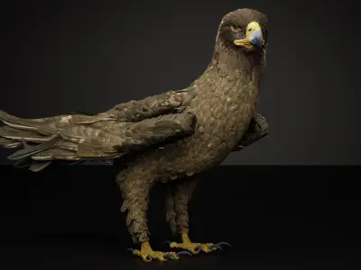 Golden Eagle 3D Model I Game Ready Blender Low-poly 3D model