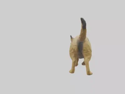 Border Terrier digging model 3D model