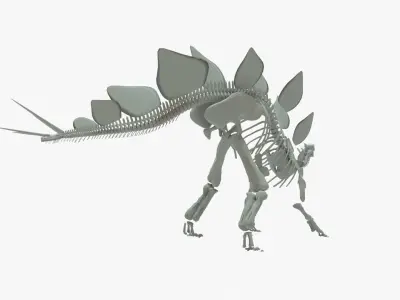 Stegosaurus Rigged Skeleton Low-poly 3D model
