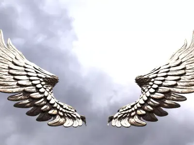 Serafim Wings 10  3D model