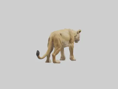 Lioness hunting model Low-poly 3D model