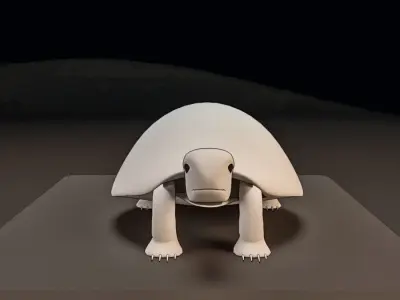 Turtle Basic Model Free low-poly 3D model