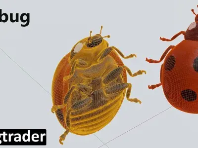 Ladybug 3D model purchase