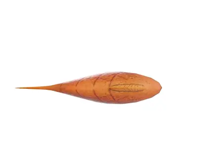 Grilled Fish  Low-poly 3D model