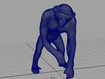 CHIMPANZEE 3D model