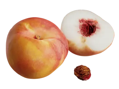  Peach Models 
