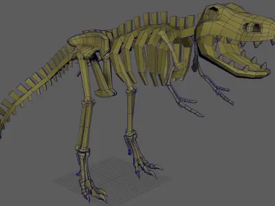 Lowpoly Trex t rex skeleton Free low-poly 3D model