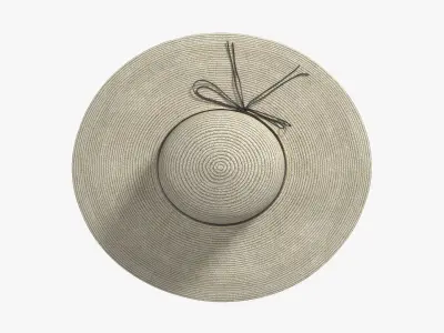 Women Straw Hat Yellow 3D model