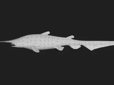 Shark Low-poly 3D model 27
