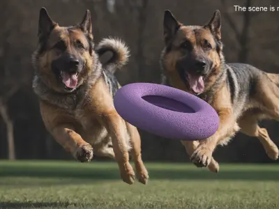 Outdoor Dog Toy Puller Maxi Used 3D model