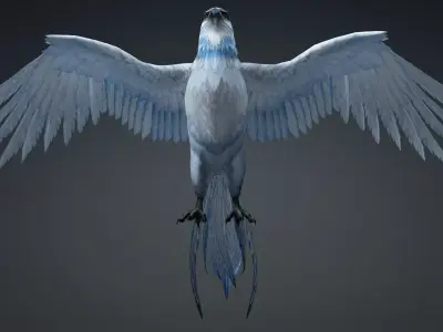 Hawk-A4 3D model