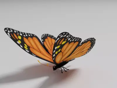 Butterfly 1 3D model