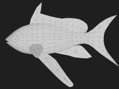 Serranidae Low-poly 3D model get