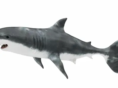  Underwater Animals Big Collection 34 in 1 