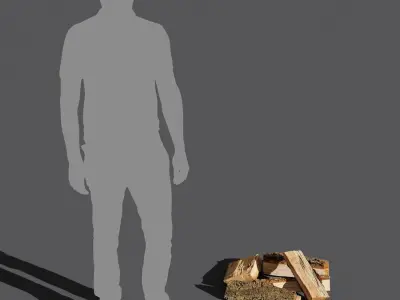  Split Oak Firewood Models Collection 