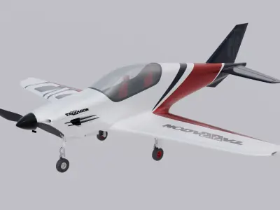 Airplane Pelegrin Tarragon 3D model