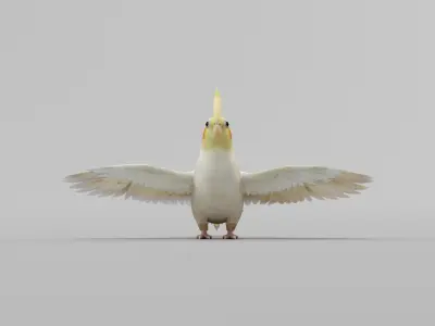 Cockatiel Parrot Bird 3D model